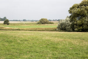Natur i Kliplev