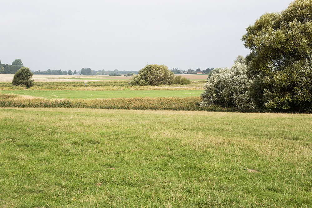 Natur i Kliplev